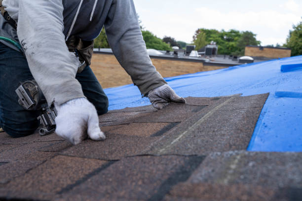 Fast & Reliable Emergency Roof Repairs in New Brighton, PA